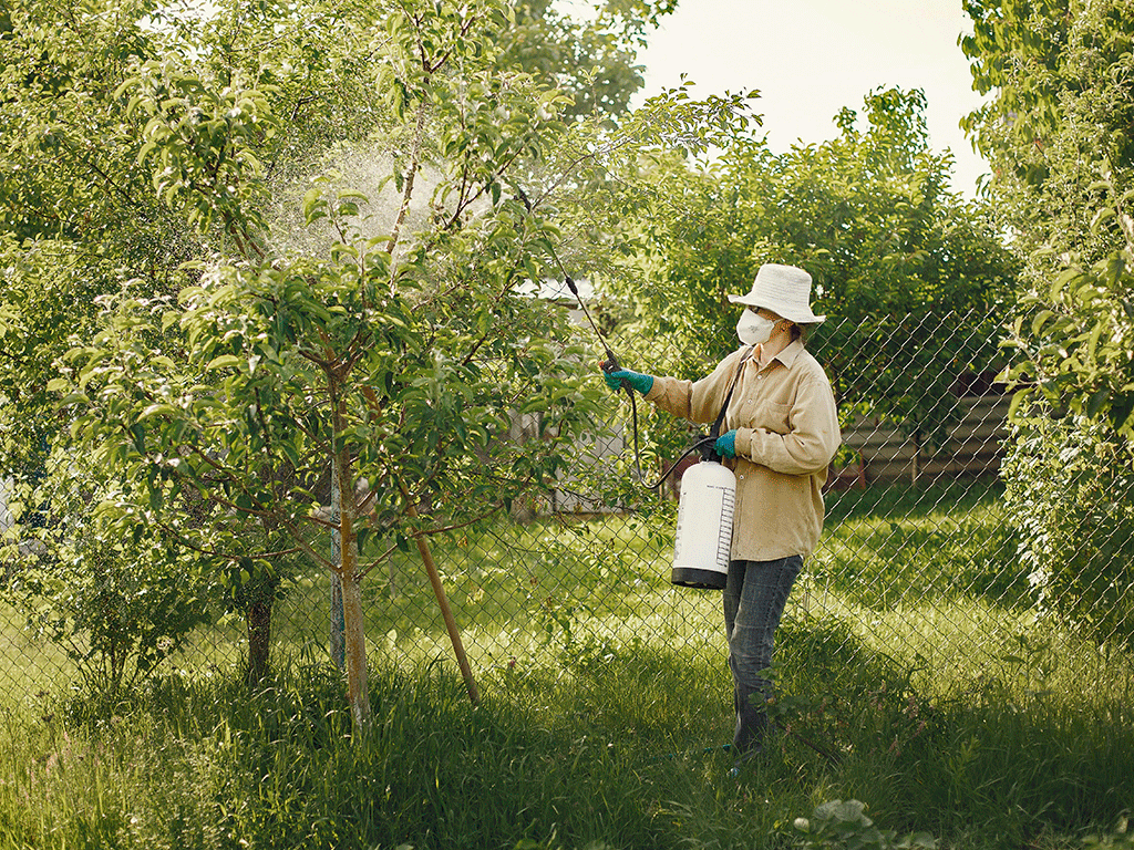 pests-in-your-orchard