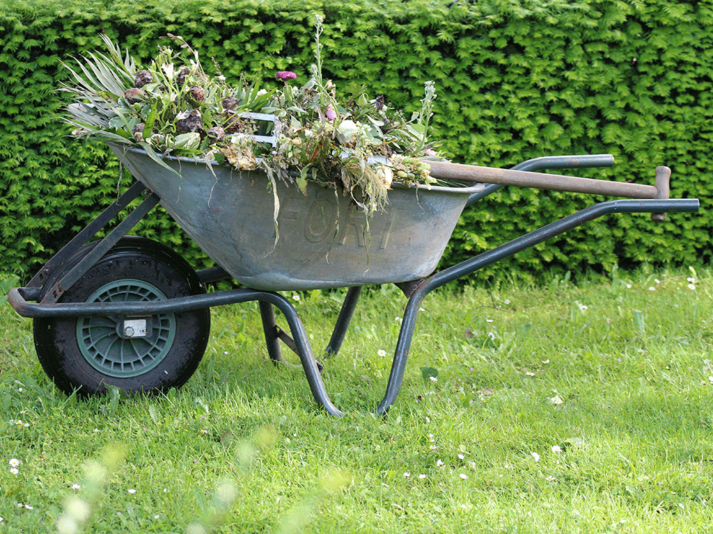 remove-weeds-in-the-garden-orchard